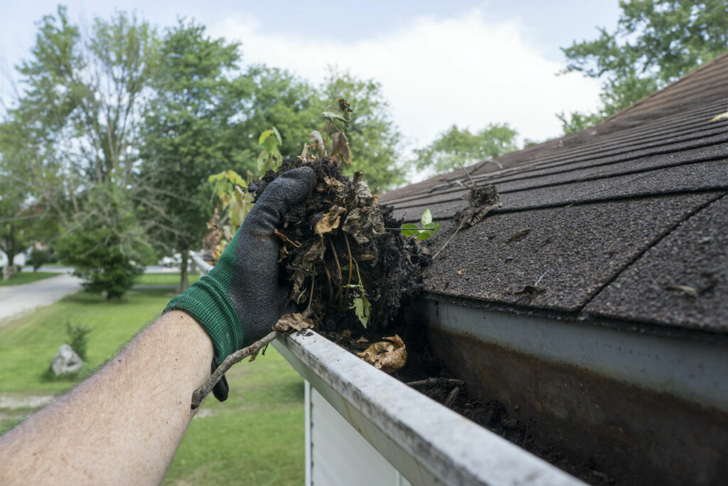 Space City Gutter Cleaning